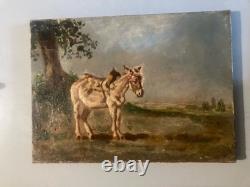 Belle Peinture Huile Portrait Sur Toile ne Art Ancien 1900 XIXE Animal Old