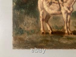 Belle Peinture Huile Portrait Sur Toile ne Art Ancien 1900 XIXE Animal Old