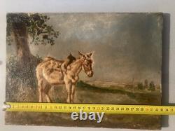 Belle Peinture Huile Portrait Sur Toile ne Art Ancien 1900 XIXE Animal Old