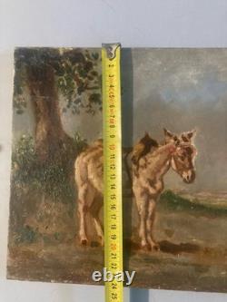 Belle Peinture Huile Portrait Sur Toile ne Art Ancien 1900 XIXE Animal Old Belle Peinture Huile Portrait Sur Toile ne Art Ancien 1900 XIXE Animal Old