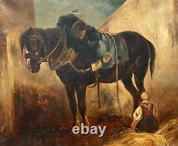 Cheval, Huile Sur Papier, Tableau Ancien, Peinture, XIXe