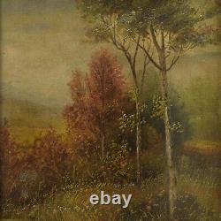 Environ 1900 Peinture ancienne à l'huile sur toile paysage forestier 50x39 cm