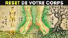 Faites Cette Posture Ancienne Secr Te Et Vous Renouvellerez Simplement Votre Corps