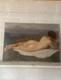 Grand Tableau Ancien Nu Féminin Allongé Huile Sur Toile 111 X 77 Cm 1900