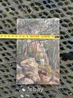 Huile Sur Panneau De Bois & Peinture Ancienne & Forêt & Arbre & Ruines