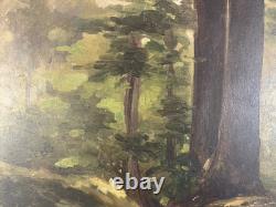 Huile sur panneau étude d'arbre Ecole francaise XIX ème dans son cadre ancien