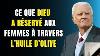 L Huile D Olive Et La Bible Un Rem De Ancien Pour Les Femmes G Es Billy Graham