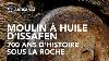 Oliviers Mill Naires Rencontrent Moulin Huile De 700 Ans Les Secrets D Une Technique D Exception