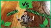 Parquet Vitrifi Vs Huil Lequel Choisir D Monstration En Direct De Deux Chantiers