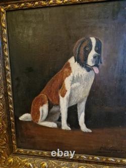 Peinture Ancienne, Huile Sur Toile Chien Saint Bernard Encadrée