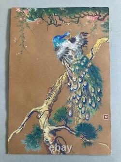 Peinture Gouache Sur Carton Paon Oiseaux Animal Arbre Dessin Art Ancien 1920