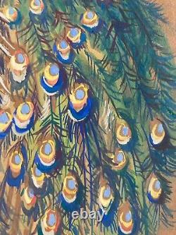 Peinture Gouache Sur Carton Paon Oiseaux Animal Arbre Dessin Art Ancien 1920
