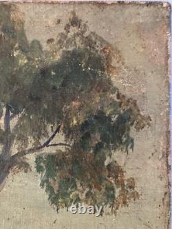 Peinture Huile Sur Toile Voiture Vélo Course 1900 Art Naïf Brut Painting Ancien