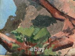 Peinture Paysage Huile 1920 Toile Paysage Fauve Fauvisme Nabi Painting Ancien