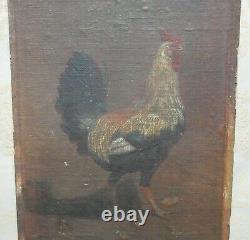 Peinture animalière ancienne, huile sur toile, coq, XIXème siècle