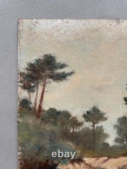 Tableau Ancien, Etang, Sud Ouest De La France, Huile Sur Carton, Début XXe