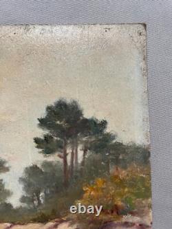 Tableau Ancien, Etang, Sud Ouest De La France, Huile Sur Carton, Début XXe