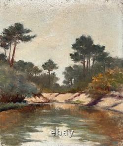 Tableau Ancien, Etang, Sud Ouest De La France, Huile Sur Carton, Début XXe