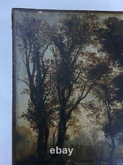 Tableau ancien, Barbizon, Huile sur toile, Paysage de sous-bois, Arbres, XIXe