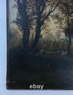Tableau ancien, Barbizon, Huile sur toile, Paysage de sous-bois, Arbres, XIXe