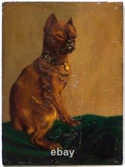 Tableau ancien. Huile sur panneau. Portrait de chien carlin. 19ème