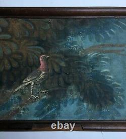 Tableau ancien, Huile sur toile, Oiseau branché, 82 cm, XIXe