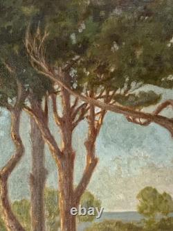Tableau ancien huile paysage sentier chemin bord de mer pinède signé V. Manago