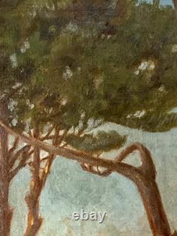Tableau ancien huile paysage sentier chemin bord de mer pinède signé V. Manago