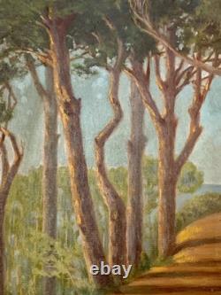 Tableau ancien huile paysage sentier chemin bord de mer pinède signé V. Manago