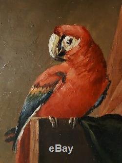 Tableau ancien huile sur toile animaux chiens singe perroquet J. CLECK XIXème
