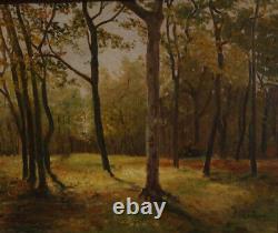 Tableau ancien huile sur toile, paysage, sous bois, arbres signé