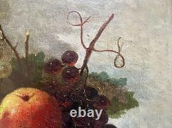Tableau ancien nature morte fruits XVIII XIX Empire peinture huile toile cadre