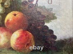 Tableau ancien nature morte fruits XVIII XIX Empire peinture huile toile cadre