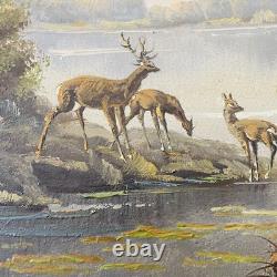 Tableau ancien signé Fleury École de Barbizon Huile sur toile Cerfs en forêt