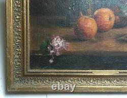 Tableau ancien signé, Huile sur toile, Nature morte aux oranges, XIXe