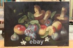 Tableau italien huile sur toile peinture nature morte fruits style ancien 900