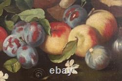 Tableau italien huile sur toile peinture nature morte fruits style ancien 900